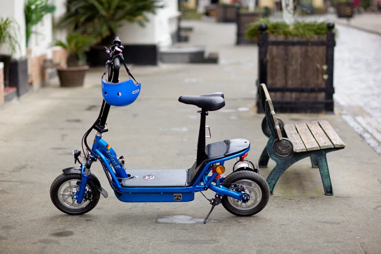 750W36V 12inch Electric Scooter Adult/DoodleBike
