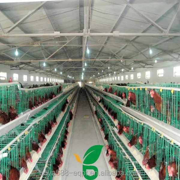 
Пластиковый стальной материал для яиц, курятник 3 яруса, продается в Англию 