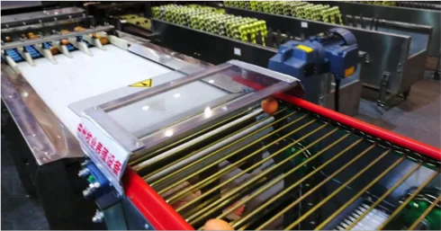 
Egg processing equipment for sale 