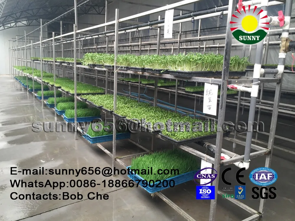 Micro-Computer Control Hydroponic Fodder SystemHydroponic Seeds Sprouting Equipment for Feed Animal,Poultry(Broccoli Raab