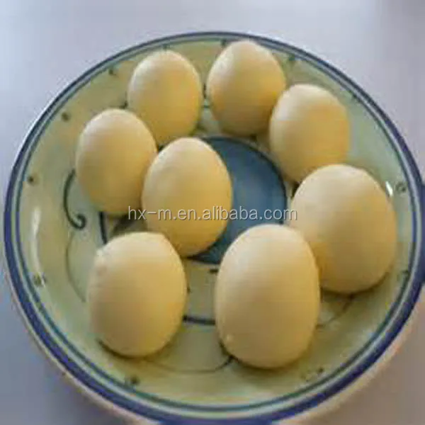 Price for Brazil Coxinha Making Machine ( factory & CE )