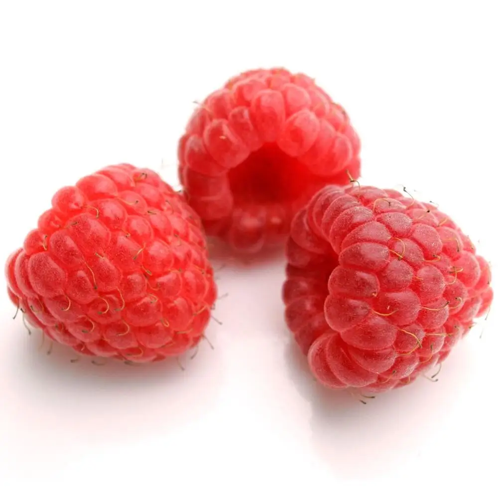 Frozen Raspberry