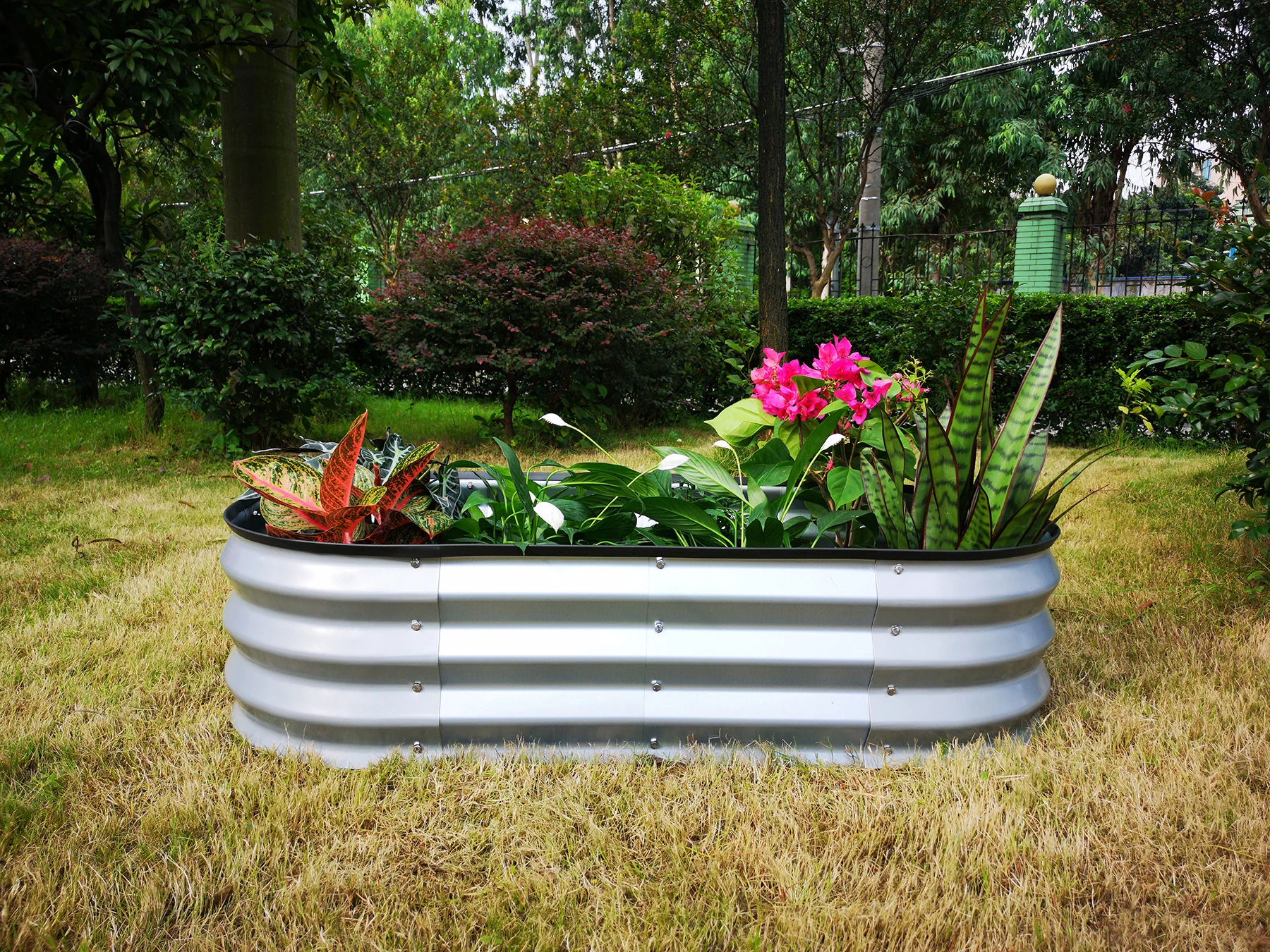 
G-MORE 60x120x30CM Outdoor Steel Raised Garden Bed,Sliver/Ivory Raised seed beds 