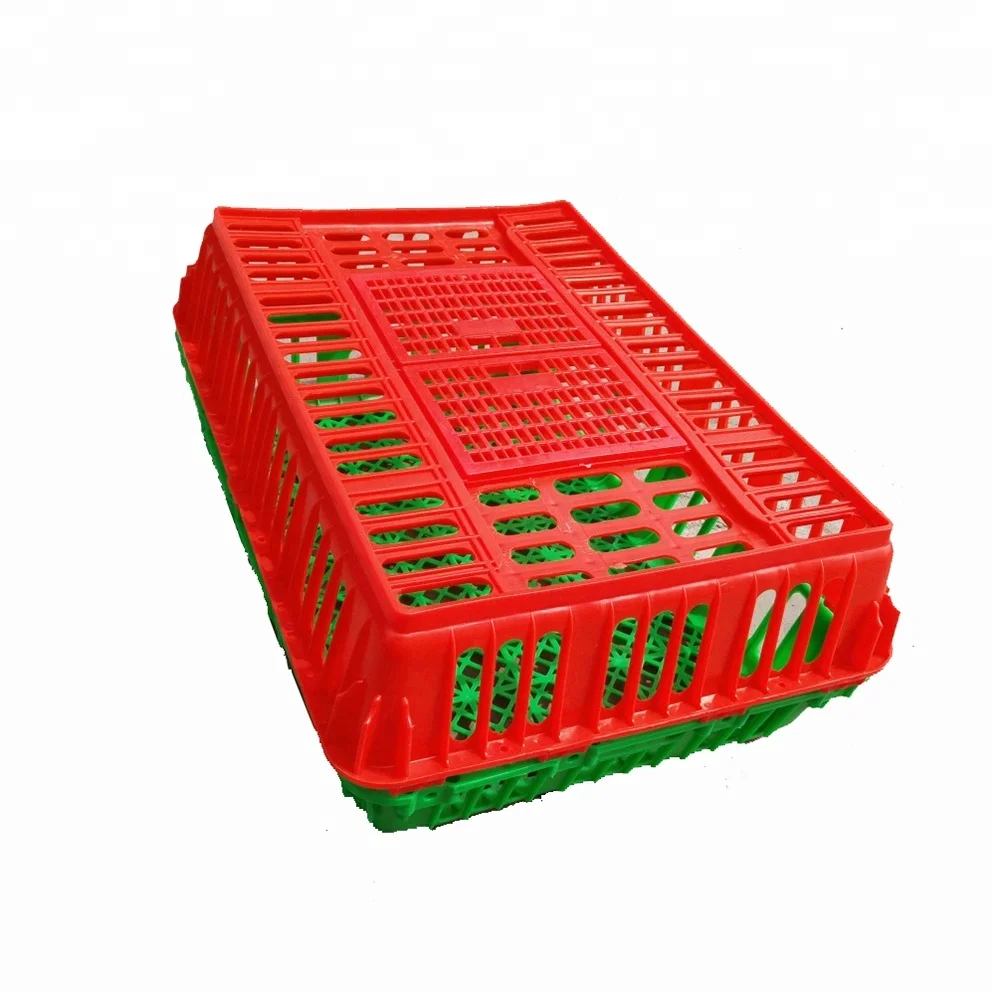 chiken cage (17)