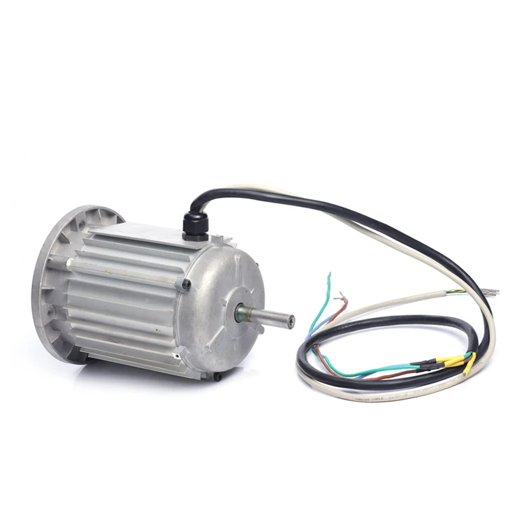 1500rpm 800w 24v high torque low speed brushless dc electric motor