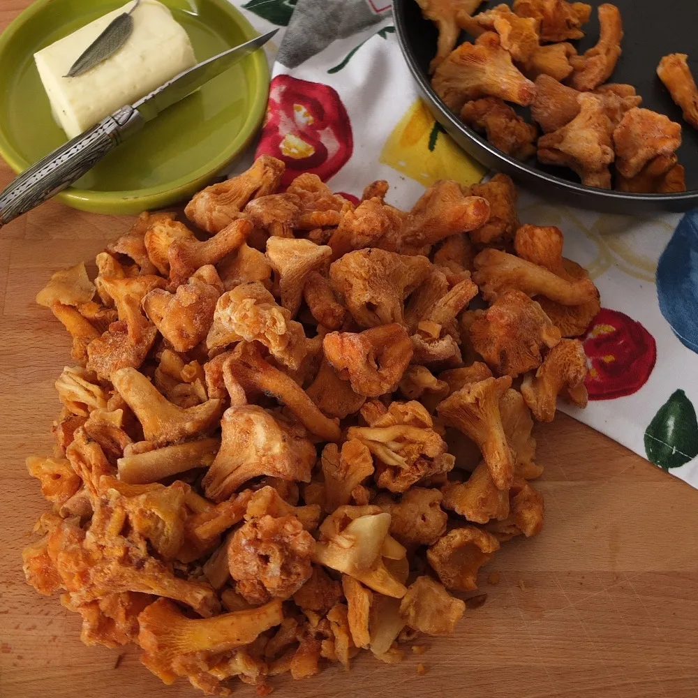 Замороженные лисички Detan