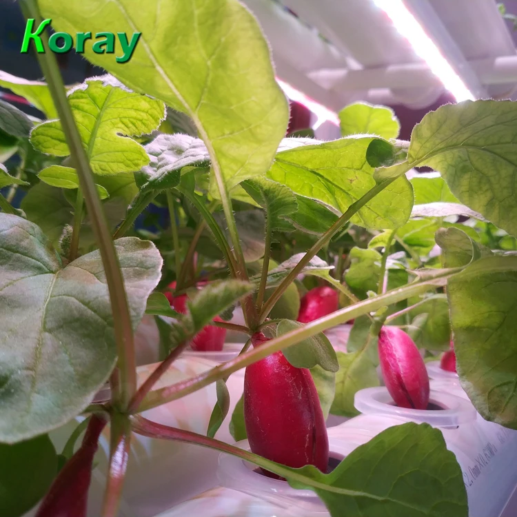 48 Inch 20 Watt 4000 Lumens Waterproof Linear LED Plants Grow Lights Bar Strip for Thailand Growing Orchids Lettuces Microgreens