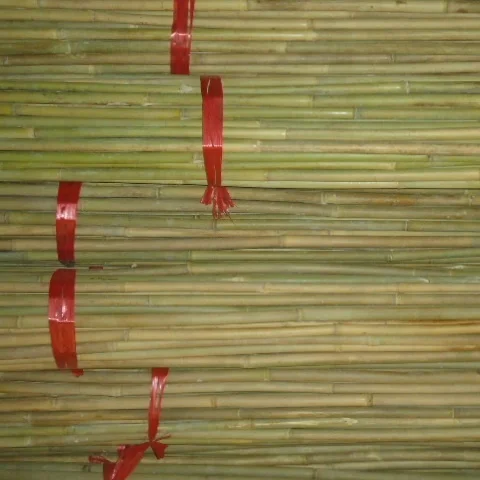 FD-Natural high-quality Bamboo poles sale