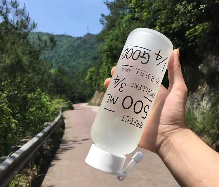 Best Quality My Breakproof Bootl 2 Colors Sports Cycling Camping Readily Space Health Lemon Juice Make 500ml Glass Water Bottle