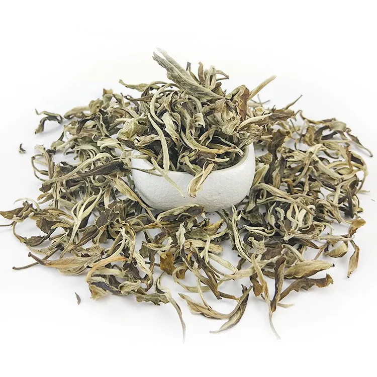 Wholesale Chinese famous high quality Fujian white tea high mountain snow buds