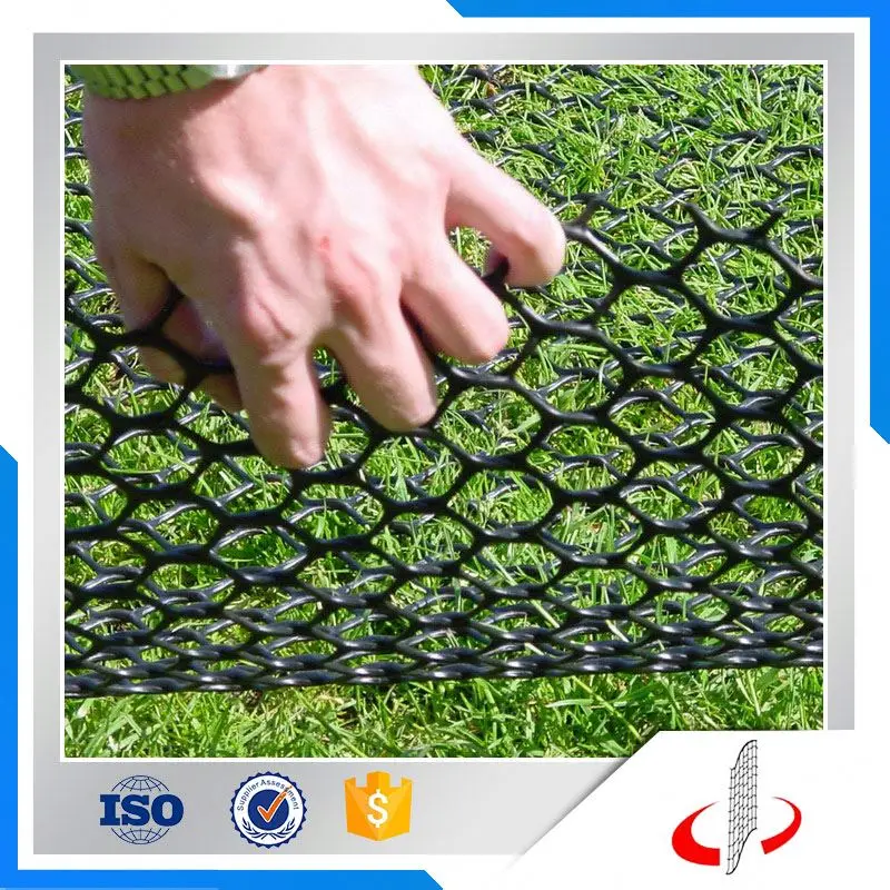 Plastic Net For Glass Turf Reinforcement