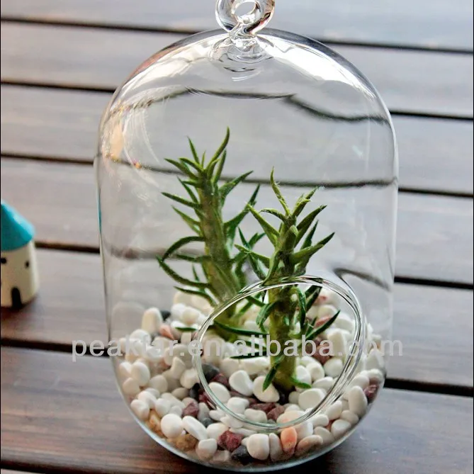 Hanging cylinder shaped glass flower vase