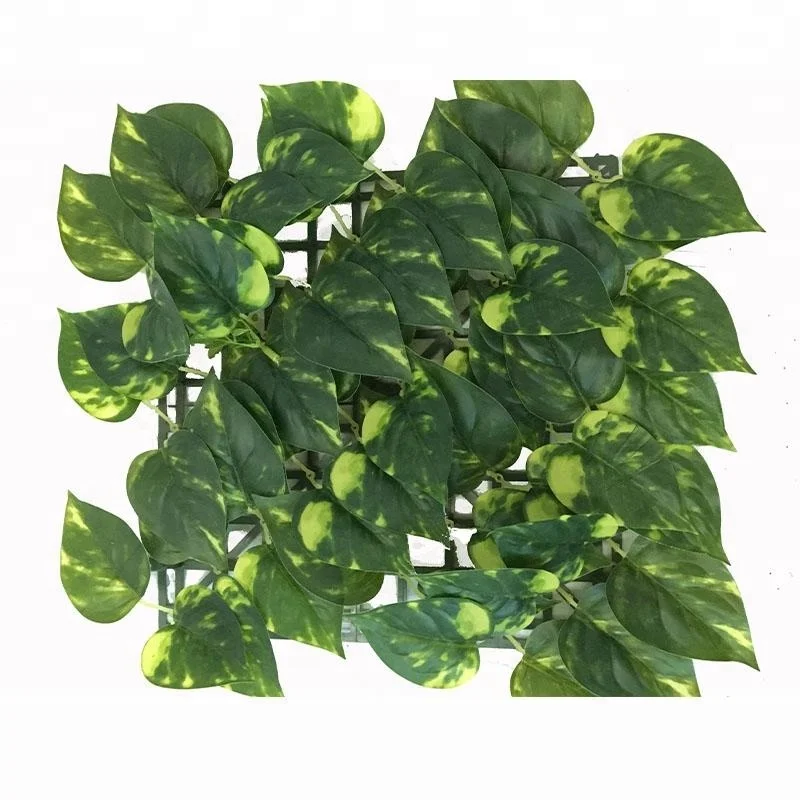 2022 fashion design Flowerking Plastic Green Wall Plant Wall / Plastic Green Grass Artificial Boxwood Hedge Wall