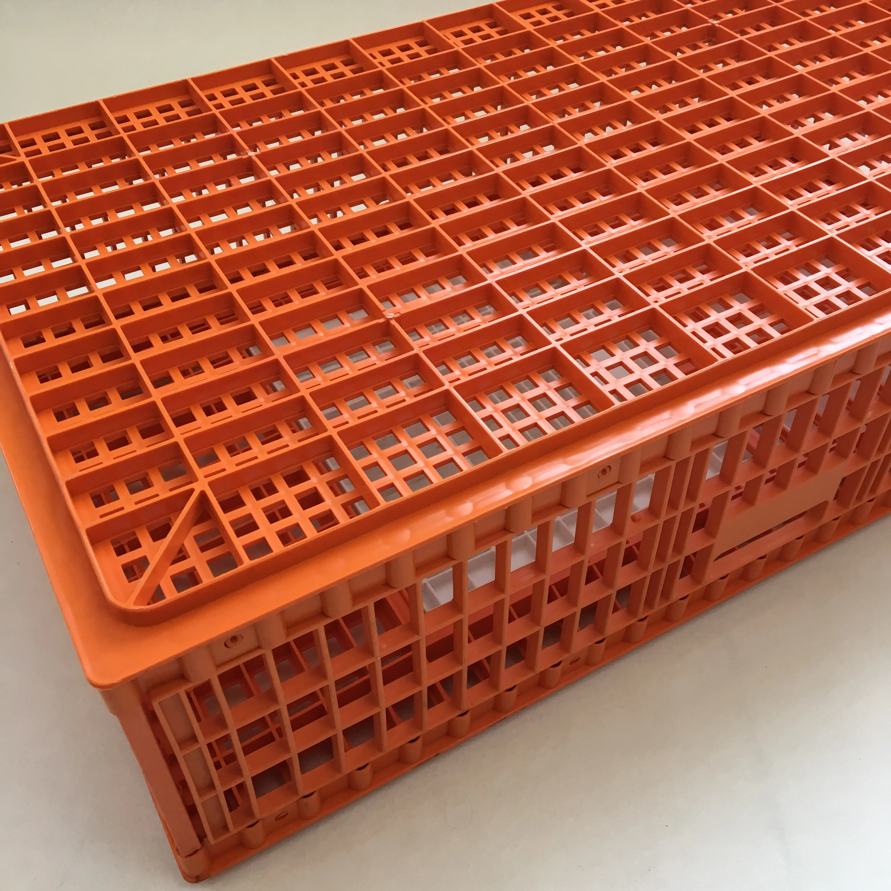 2021 hot sale plastic chicken coop poultry farm used transport crate