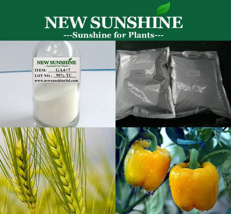 Gibberellic Acid, GA4+7 90% TC, Gibberellin