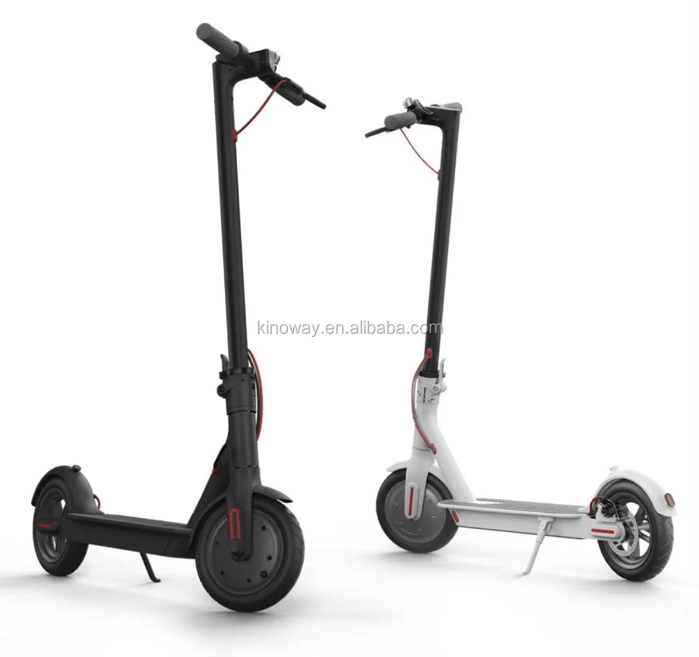 Most Attractive New Electric Scooter 36V 350W High Power e Roller Scooter In Eu  Adults