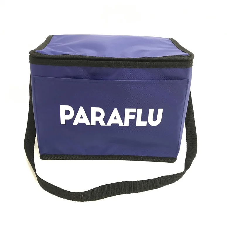 China Zipper Disposable Food Divider Satchel Plastic Car Ice insulated lunch Cooler Bag