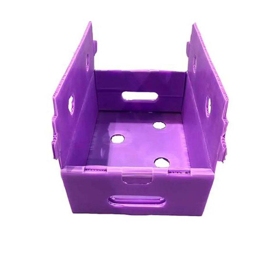Fruit /Vegetable Packing Corrugated Plastic Box
