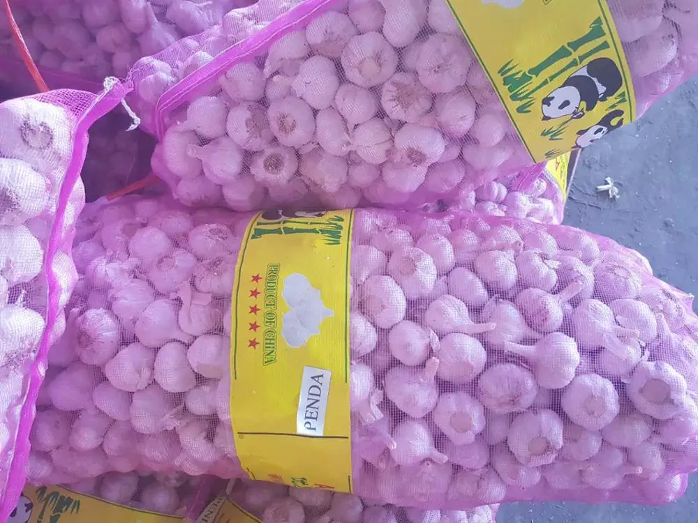 
buy garlic dry garlic wholesale with best price 