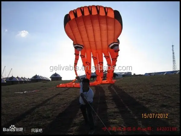 3D Soft Parafoil  Octopus Kites 15m no Frame big kite Perfect for Beach Park Outdoor Fun