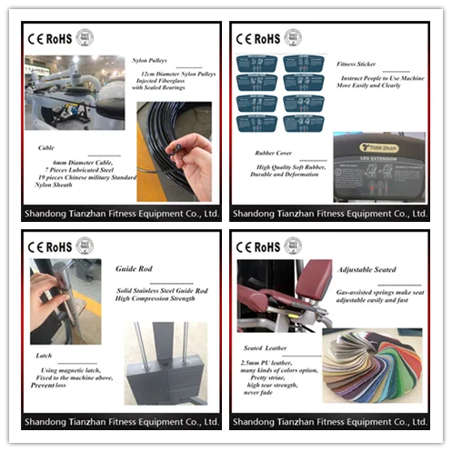 Horizontal Leg Press TZ-6016/Commercial exercise equipment/fitness gym machine