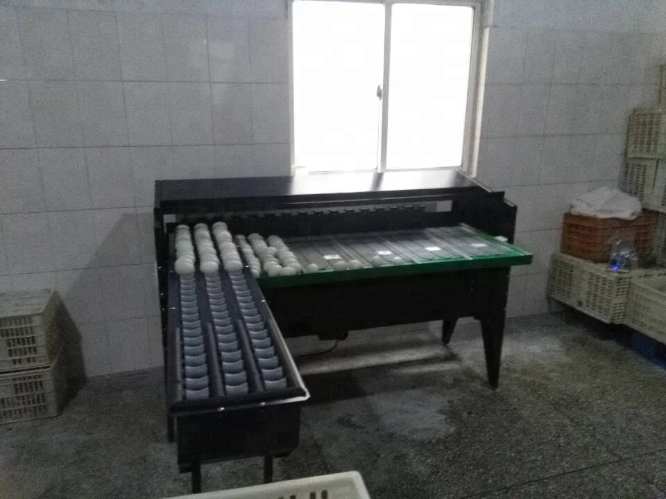 5 or 7 levels automatic egg sorter processing machine for sale