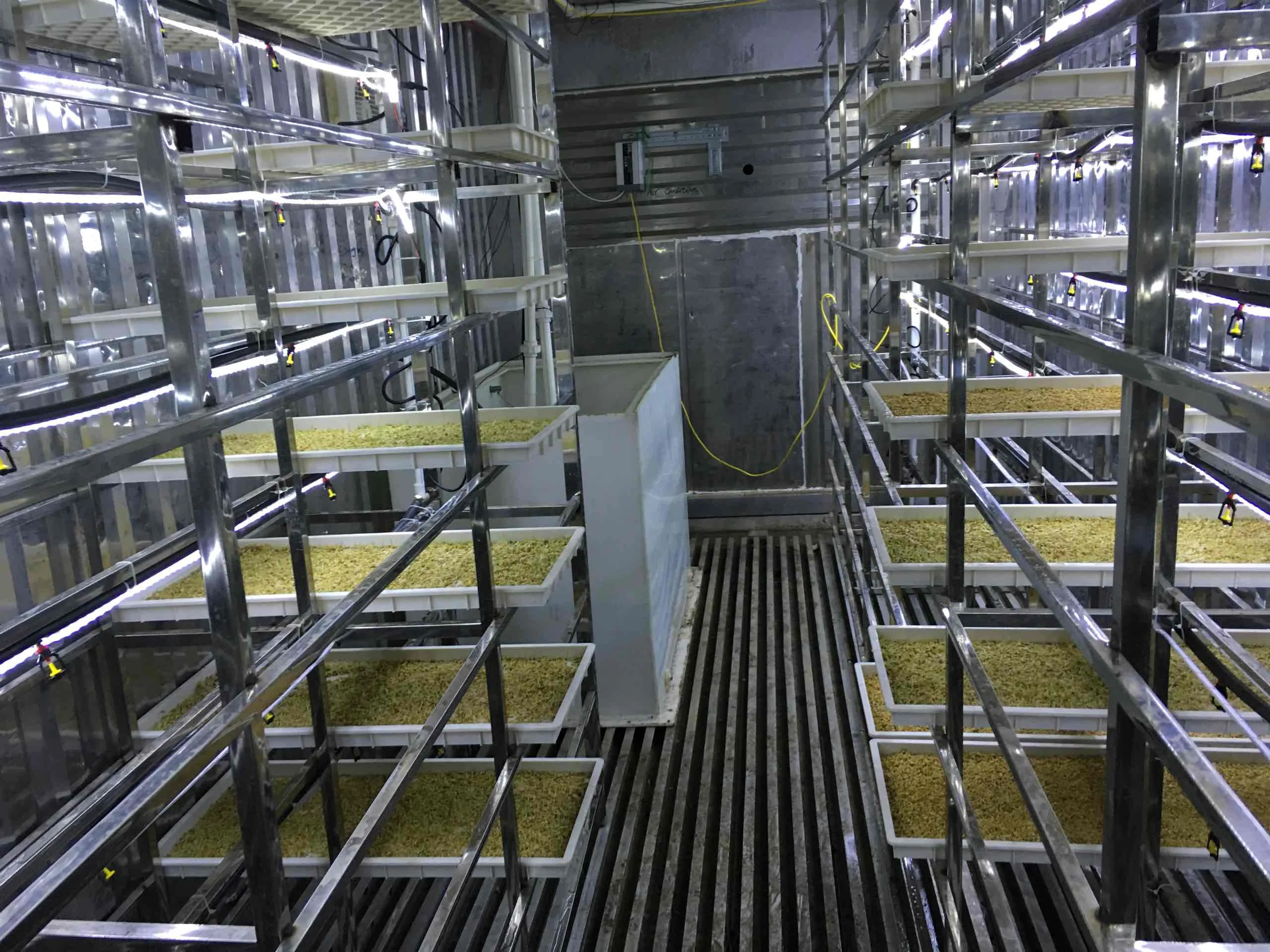 LYINE plastic tray barley fodder growing machine fvh hidroponic automatic bean sprout machine