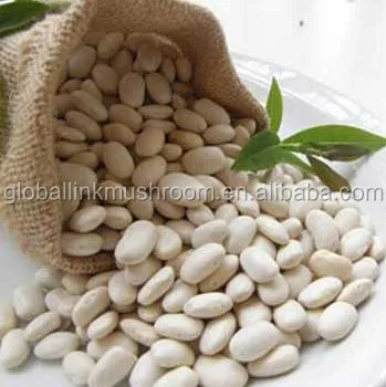 2017 New Crop Japanese White Kidney Beans