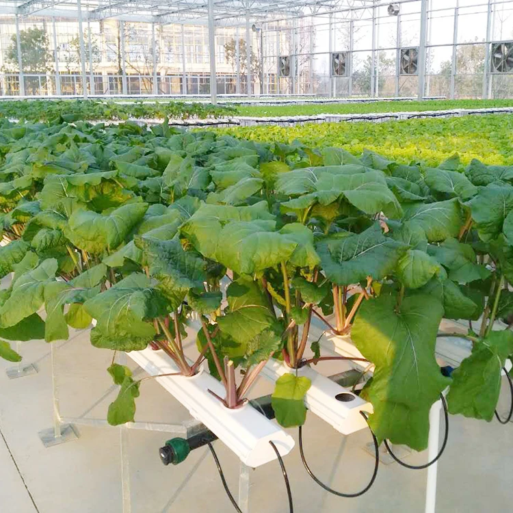 
Wholesale 4x8 Hydroponic Grow Table Cultivation System 