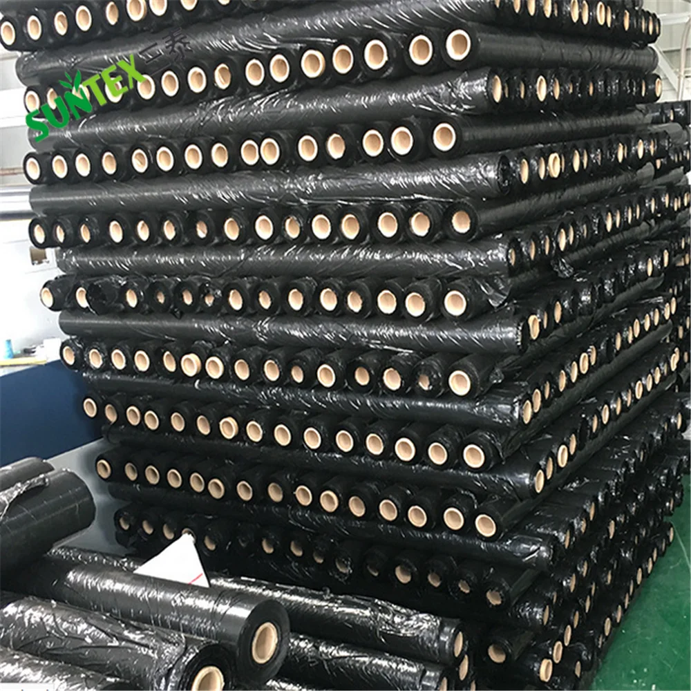 25 micron Black Black Mulch Film, Weed Barrier Custom Size Mulch Layer For Tomato