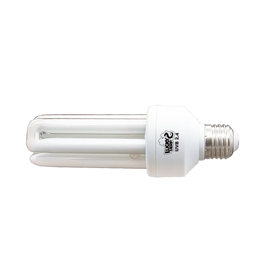 Bird application 20 watt uva uvb 2.4% lamp uv compact fluorescent bulb 8000 hours parrot light
