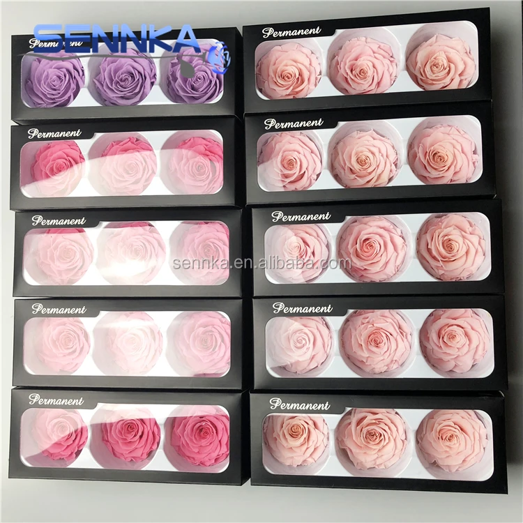 Preserved Rose Eternal Dried Flower Birthday Party Wedding