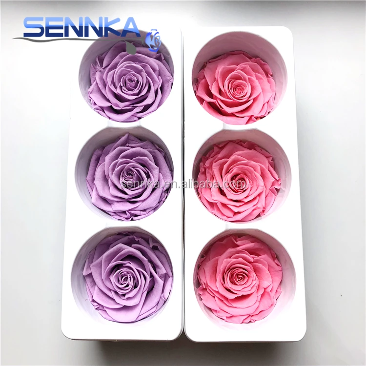 Preserved Rose Eternal Dried Flower Birthday Party Wedding