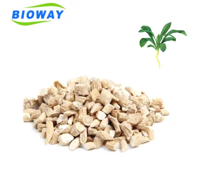 
Organic Chinese Herb- Indigowoad Root Cut 