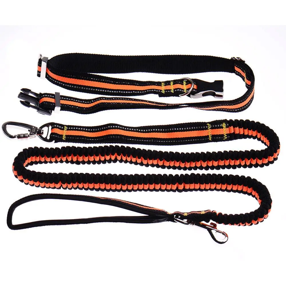 Reflective Hands Free Bungee Rope Dog Lead Leash Waist Belt Carabiner Dog Leash For Running Training