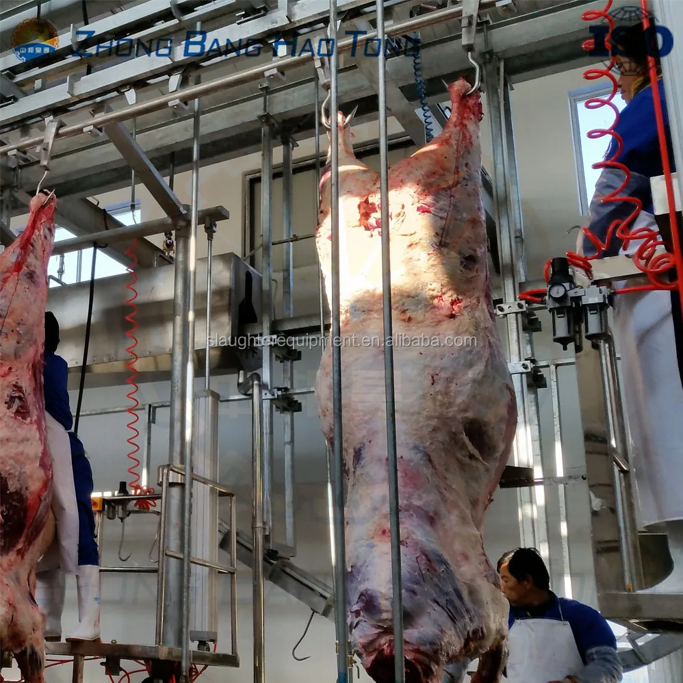 carcass dressing line for cattle abattoir slaughterhouse