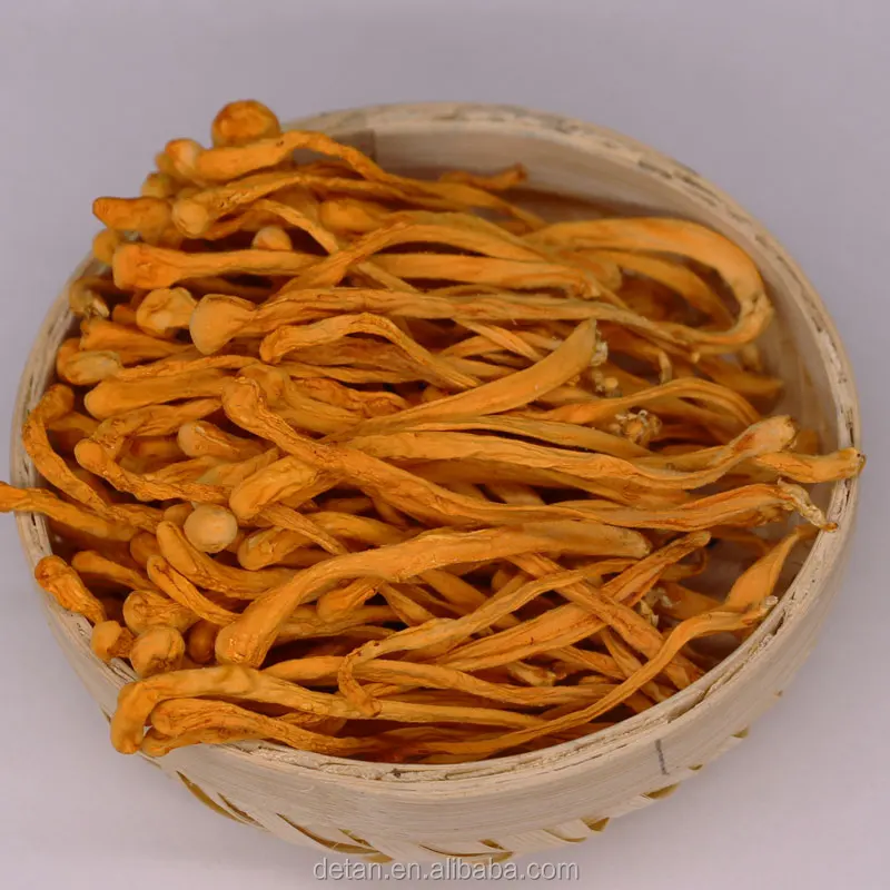 
Detan Dried Caterpillar in All Types of Mushrooms 