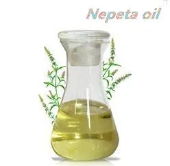 factory bulk natural plant extracted  catnip oil cat mint oil nepeta cataria hoja oil for weight loss