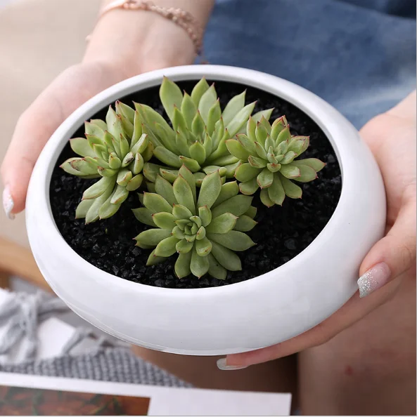 Ellipse fashion home ceramic flower pot