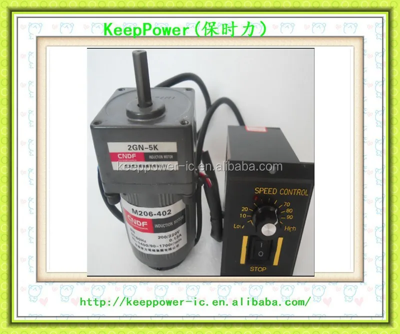 M206-402/2GN-5K 220V AC single phase damping geared motors 6W motor gear motor with low speed micro governor