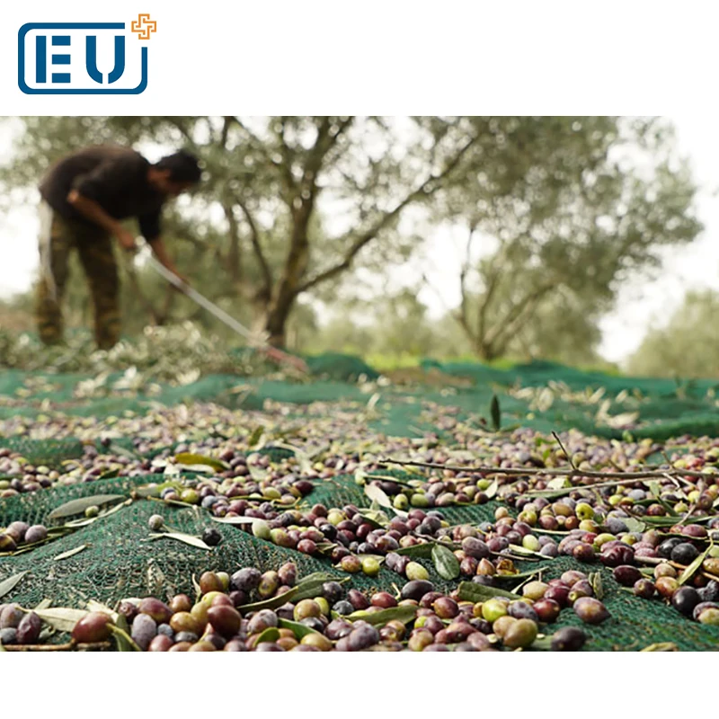 China supplier high quality HDPE olive collecting net