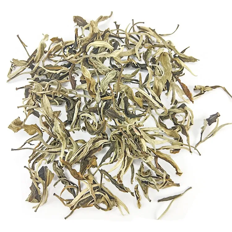 Wholesale Chinese famous high quality Fujian white tea high mountain snow buds