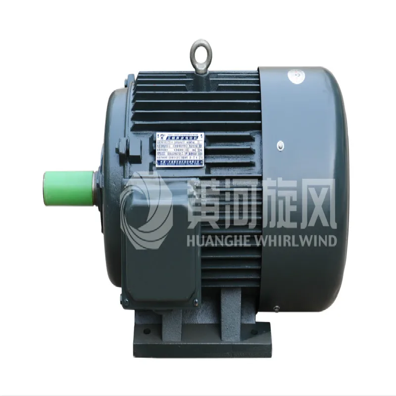 
Squirrel Cage Three Phase Ac Motor Induction Electric Motor 