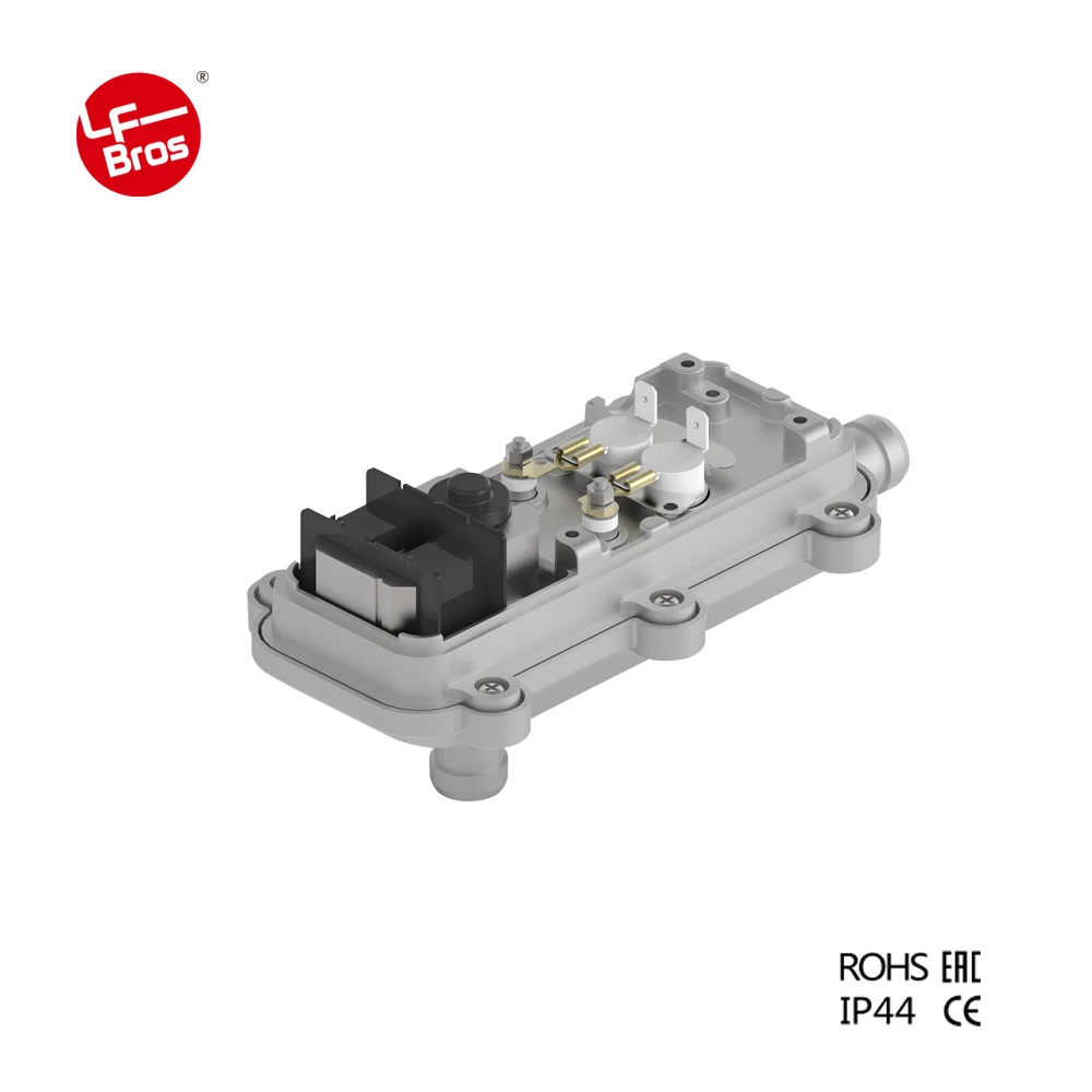 2000W 220V LF Bros Little Dragon auto electric engine antifreeze water coolant preheater