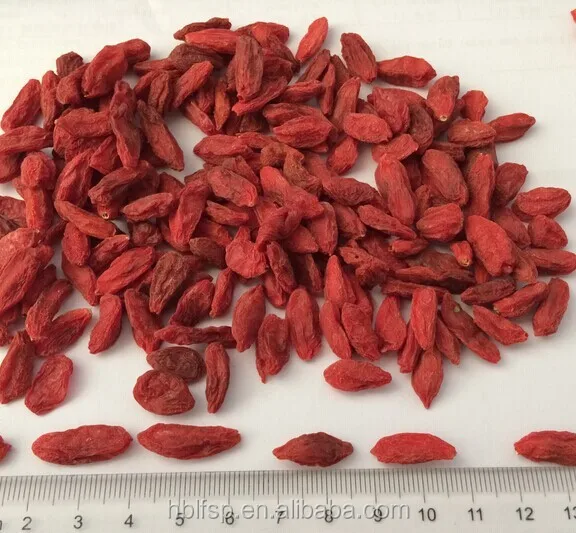 
Dried Goji Berry 