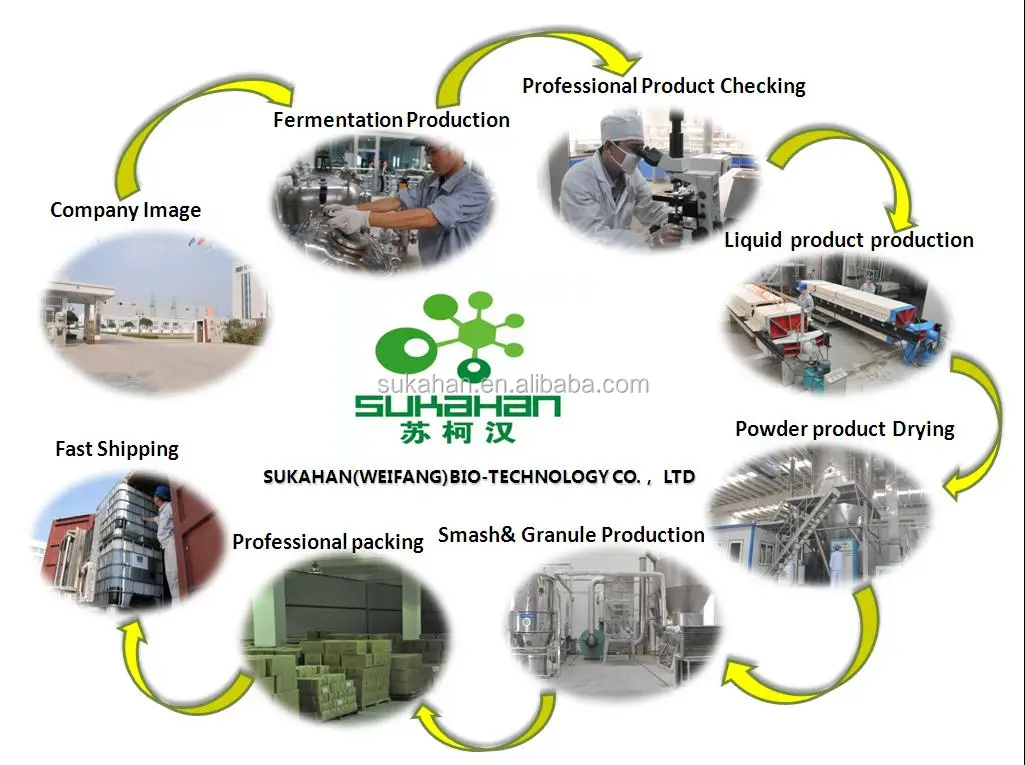 Lipase enzyme used in feed