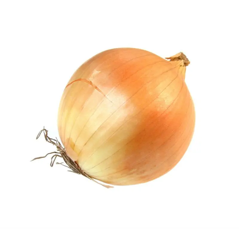 High quality fresh red market onion for sale price from Chinese factory