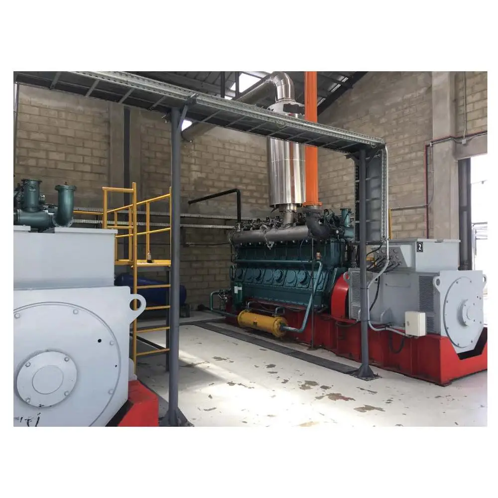 Chicken Manure  Waste Gasification Power Plant For Sale