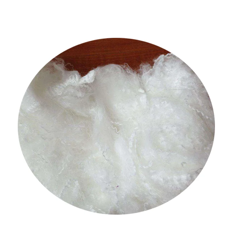 Vietnam Stuffing Polyester staple fiber 7D/15Dx32~64mm HCS/HC Best Price