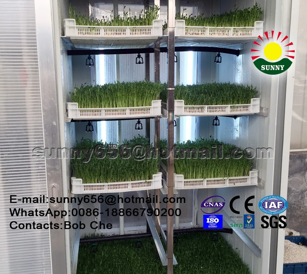 Micro-Computer Control Hydroponic Fodder SystemHydroponic Seeds Sprouting Equipment for Feed Animal,Poultry(Broccoli Raab